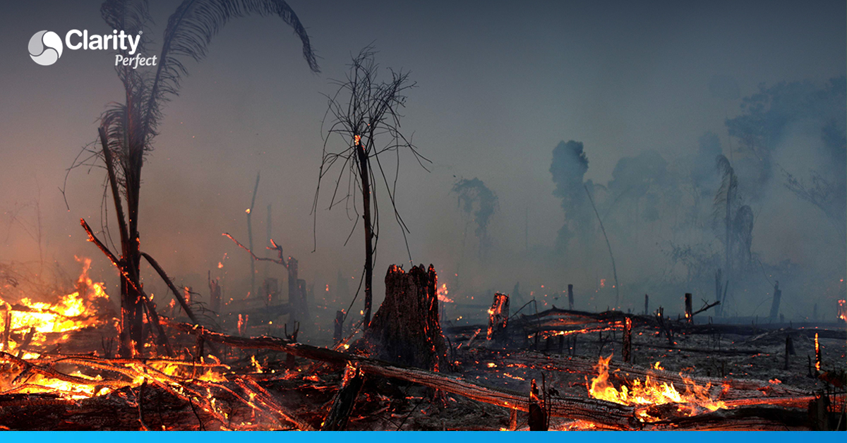 Why do we need to save the amazon?